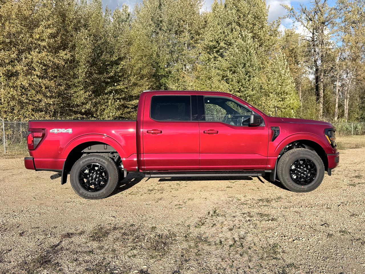 2026 Ford F-150 XLT Photo3