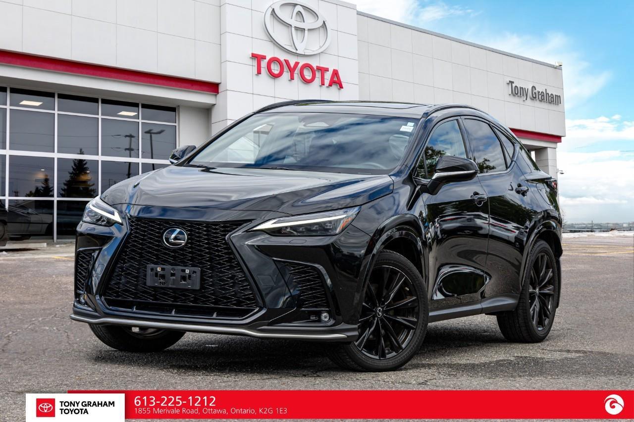 2022 Lexus NX 350  Photo