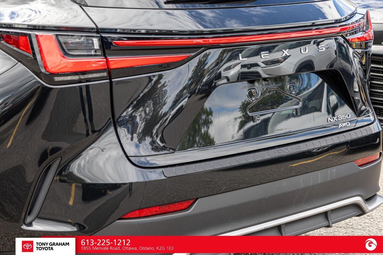 2022 Lexus NX 350  Photo