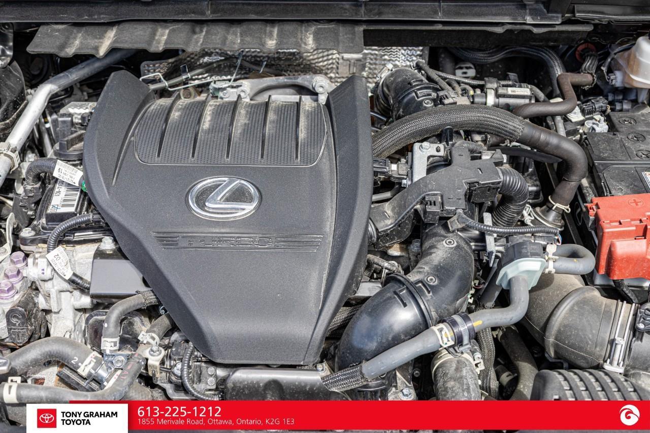 2022 Lexus NX 350  Photo