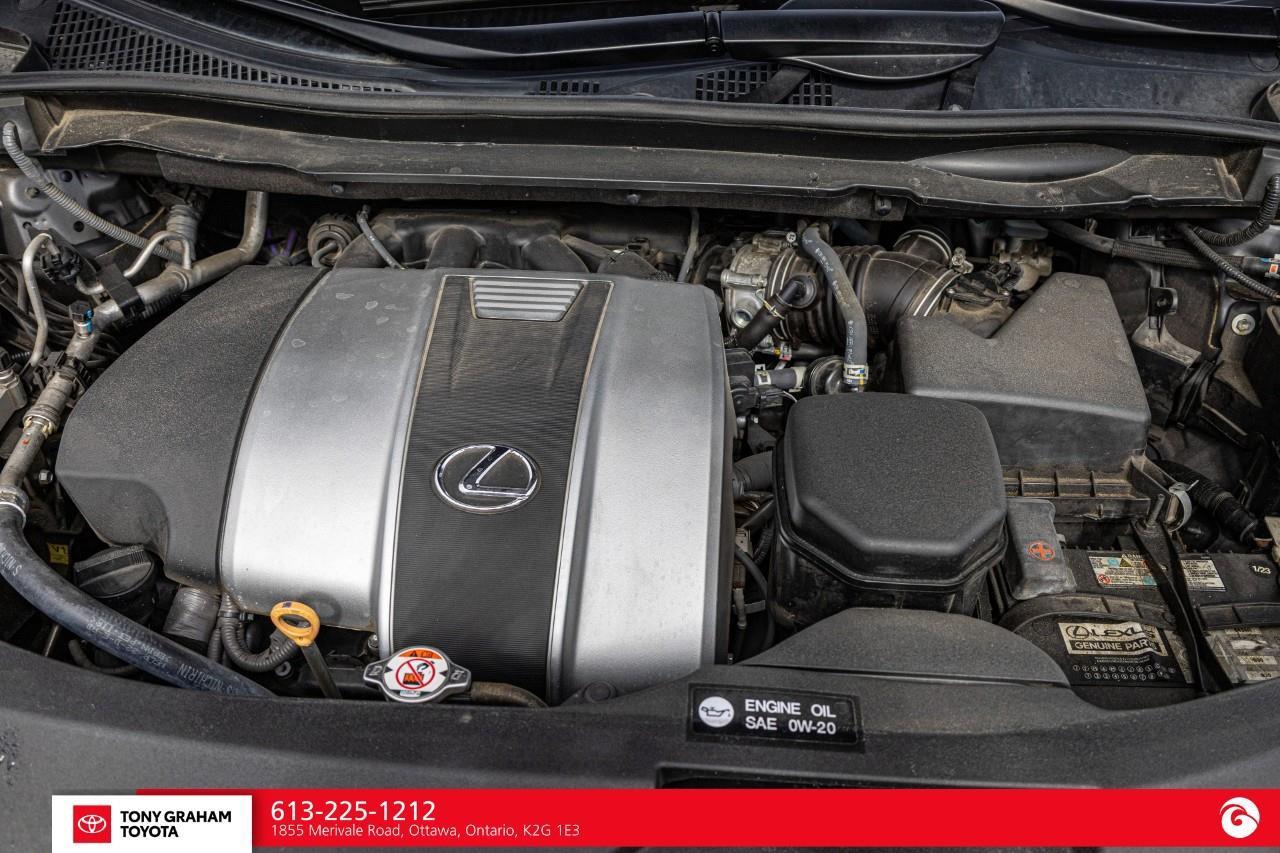 2022 Lexus RX 350  Photo