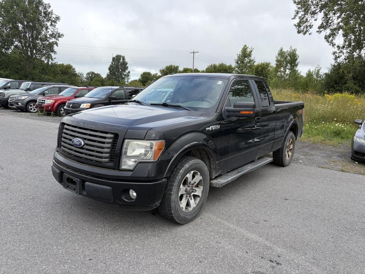 Used 2010 Ford F-150 FX4 for sale in Kingston, ON