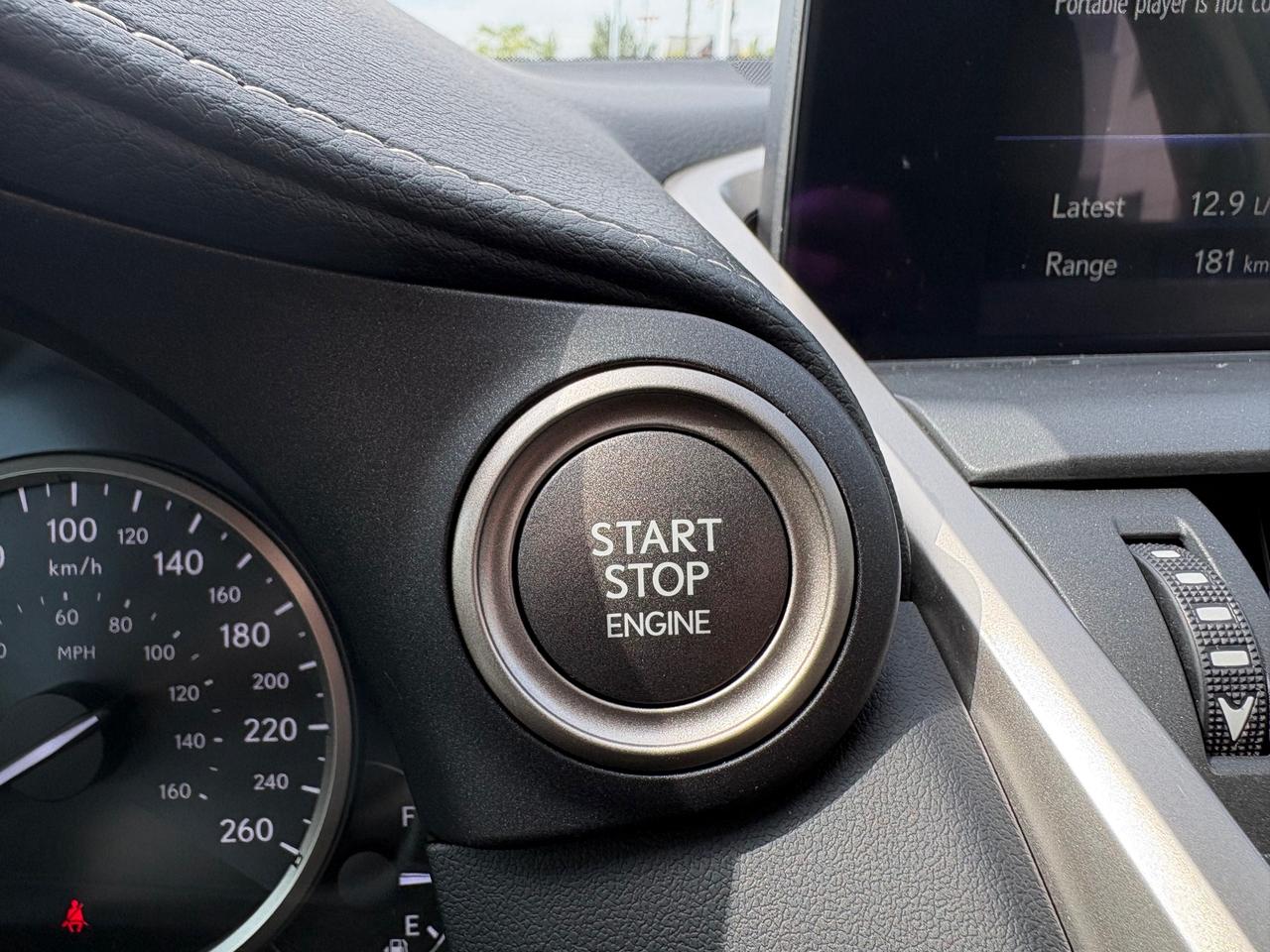 2020 Lexus NX 300 LOW KM! Photo