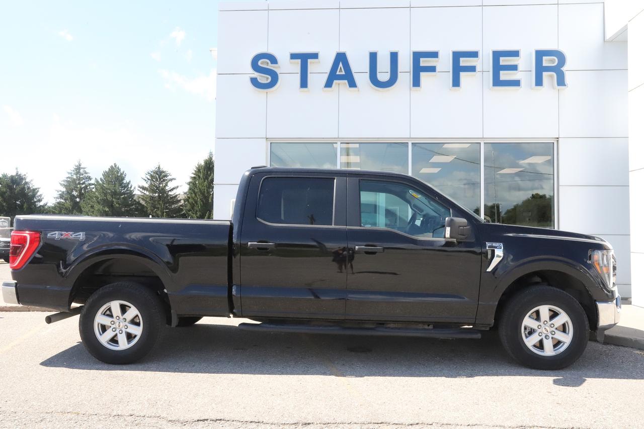 2023 Ford F-150 XLT 4WD SuperCrew 6.5' Box Photo2