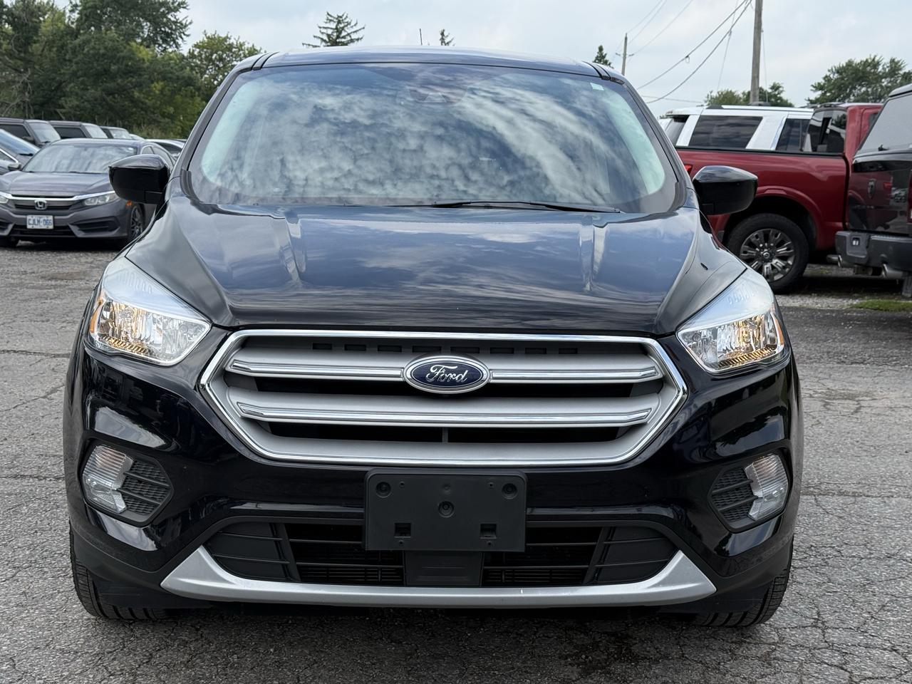 2019 Ford Escape SE 4WD Photo