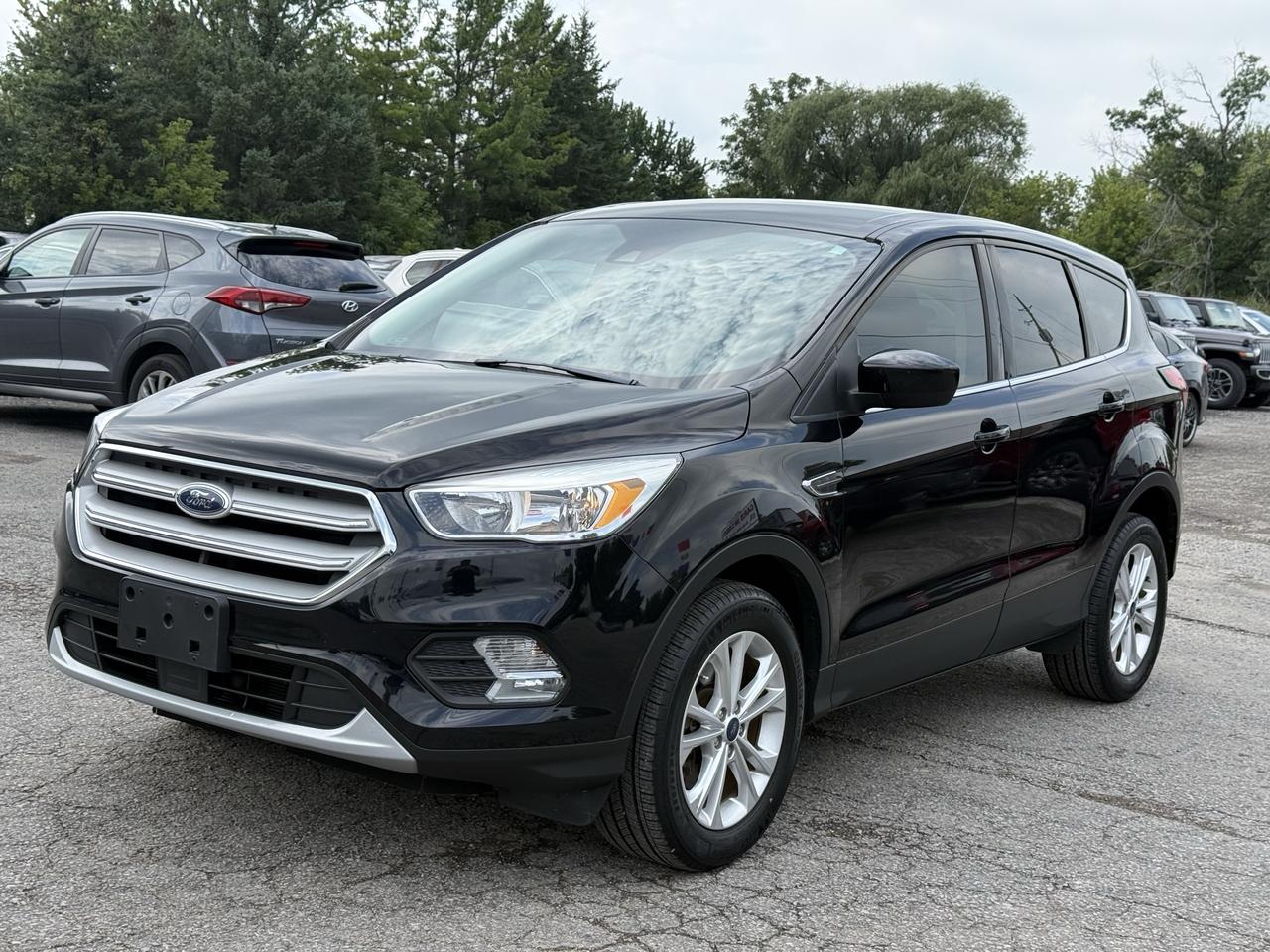 2019 Ford Escape SE 4WD Photo