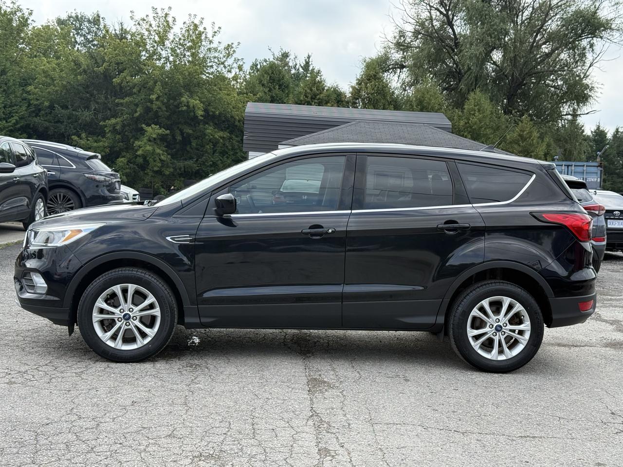 2019 Ford Escape SE 4WD Photo
