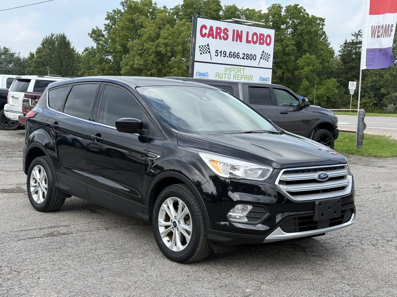 2019 Ford Escape SE 4WD Photo