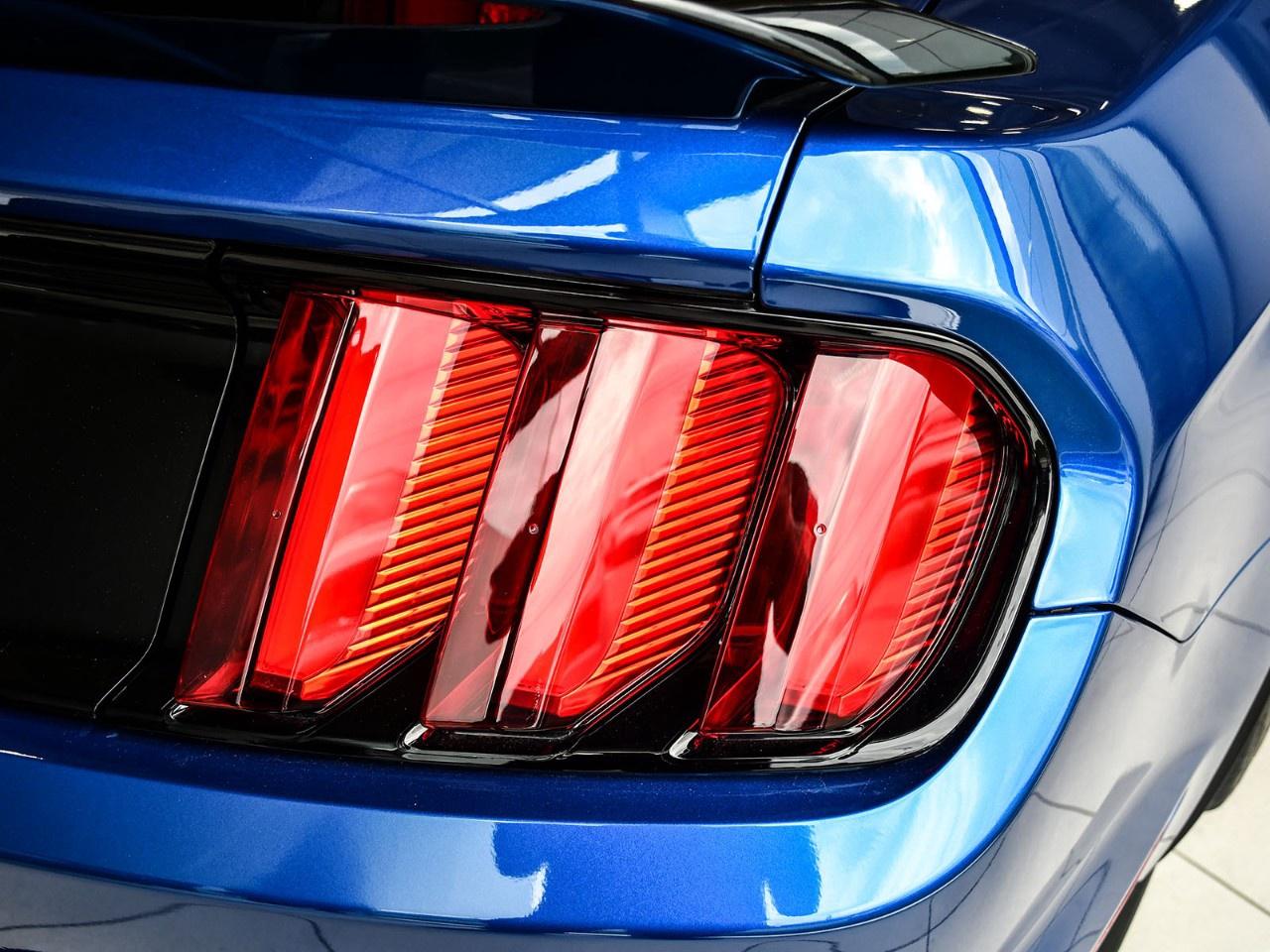 2017 Ford Mustang 2DR FASTBACK SHELBY GT350 Photo