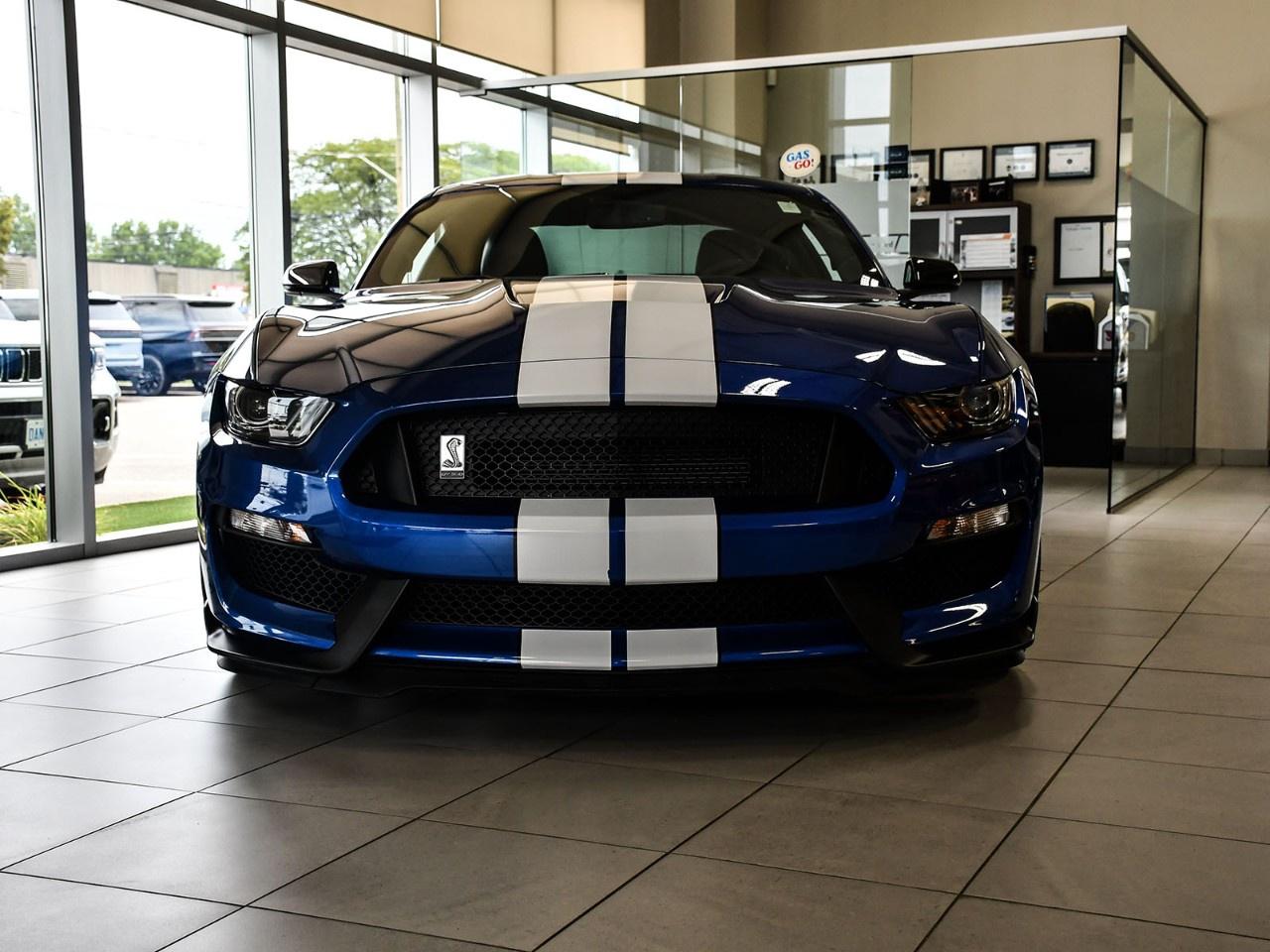 2017 Ford Mustang 2DR FASTBACK SHELBY GT350 Photo