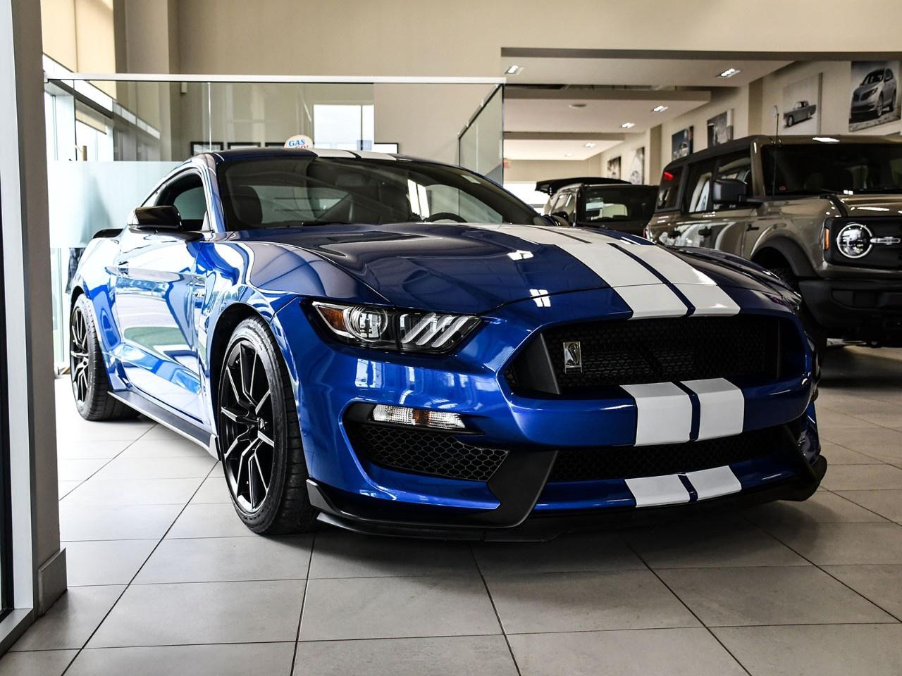 2017 Ford Mustang 2DR FASTBACK SHELBY GT350 Photo