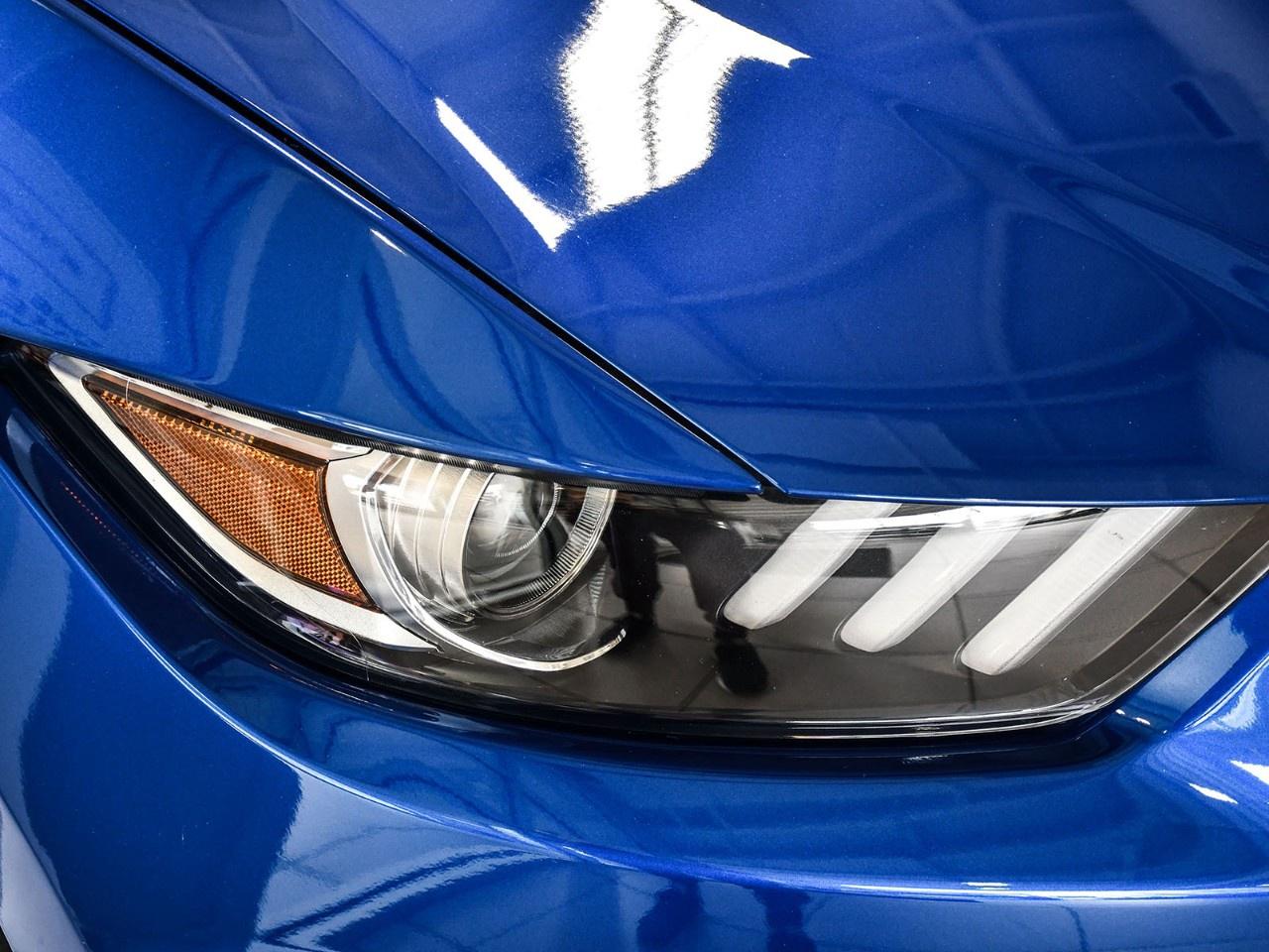 2017 Ford Mustang 2DR FASTBACK SHELBY GT350 Photo