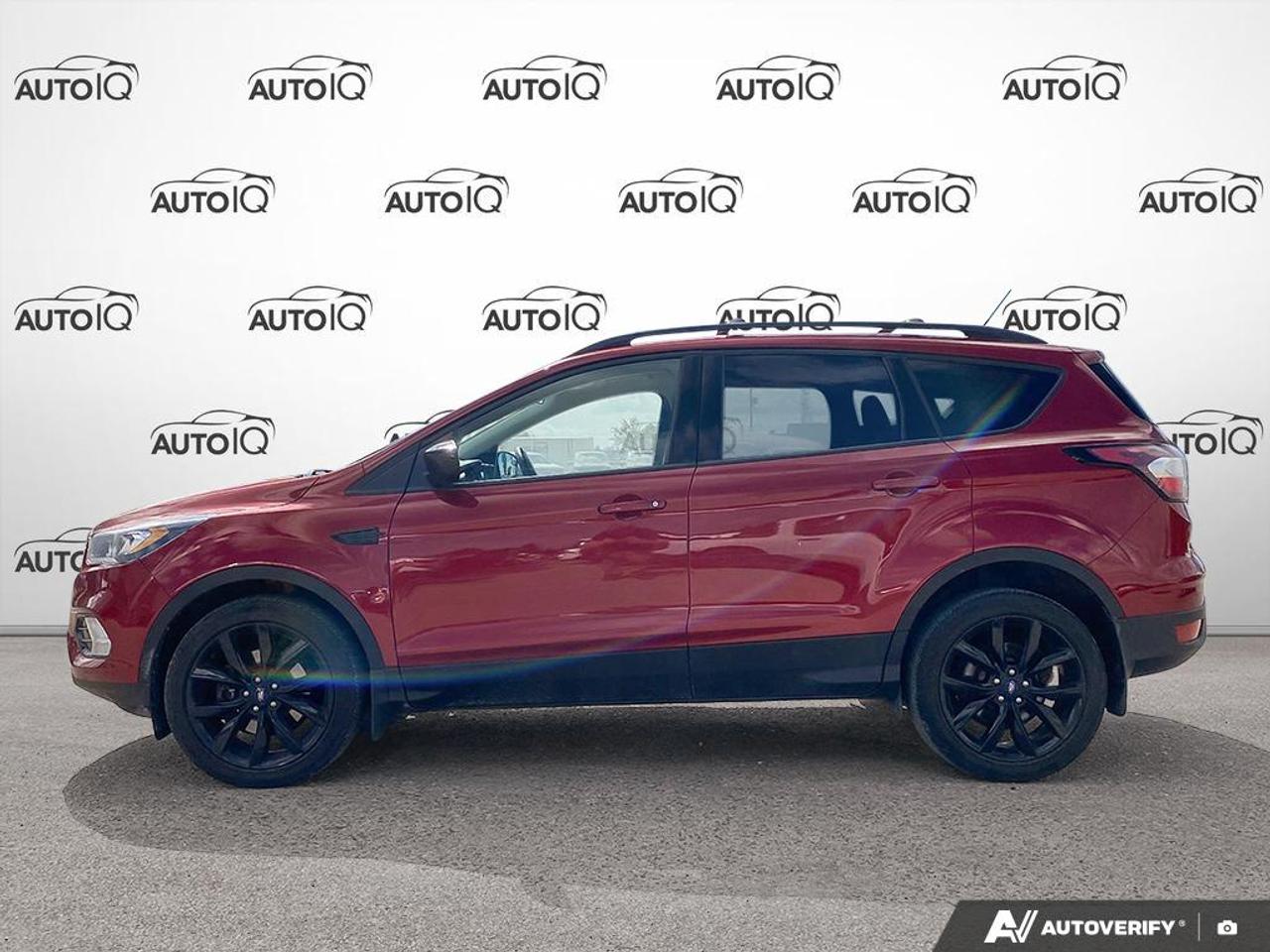 2018 Ford Escape SE 1.5L | SPORT PKG | 4WD Photo2