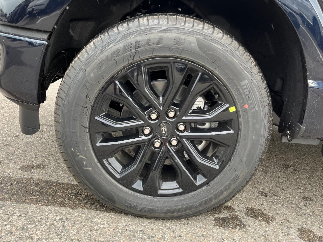 2026 Ford F-150 XLT 4WD SuperCrew 5.5' Box Photo