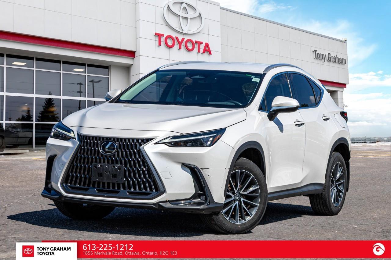 2025 Lexus NX 250  Photo0