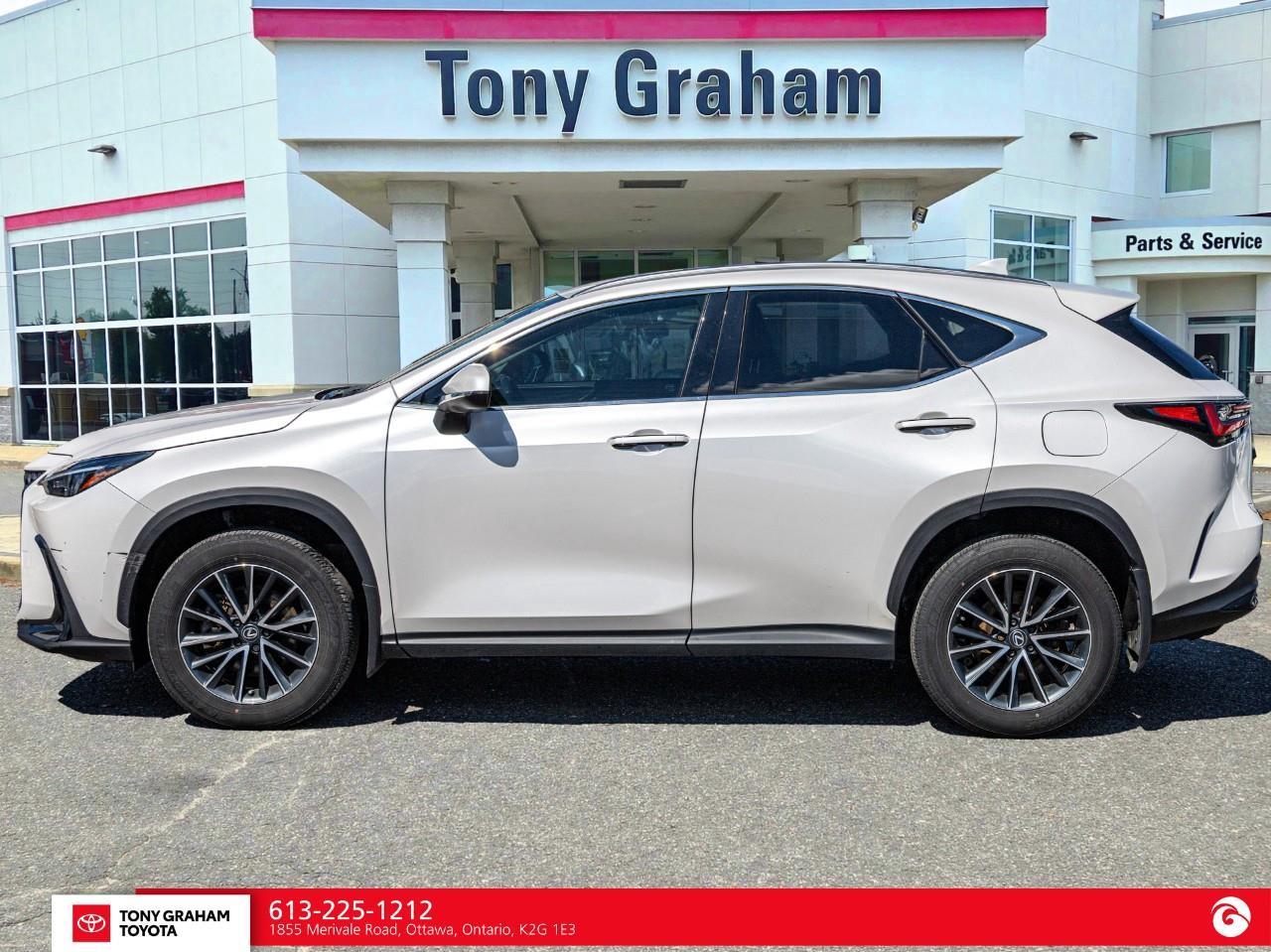 2025 Lexus NX 250  Photo