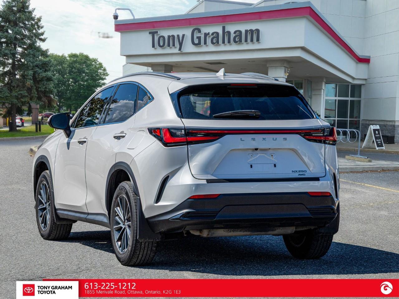 2025 Lexus NX 250  Photo