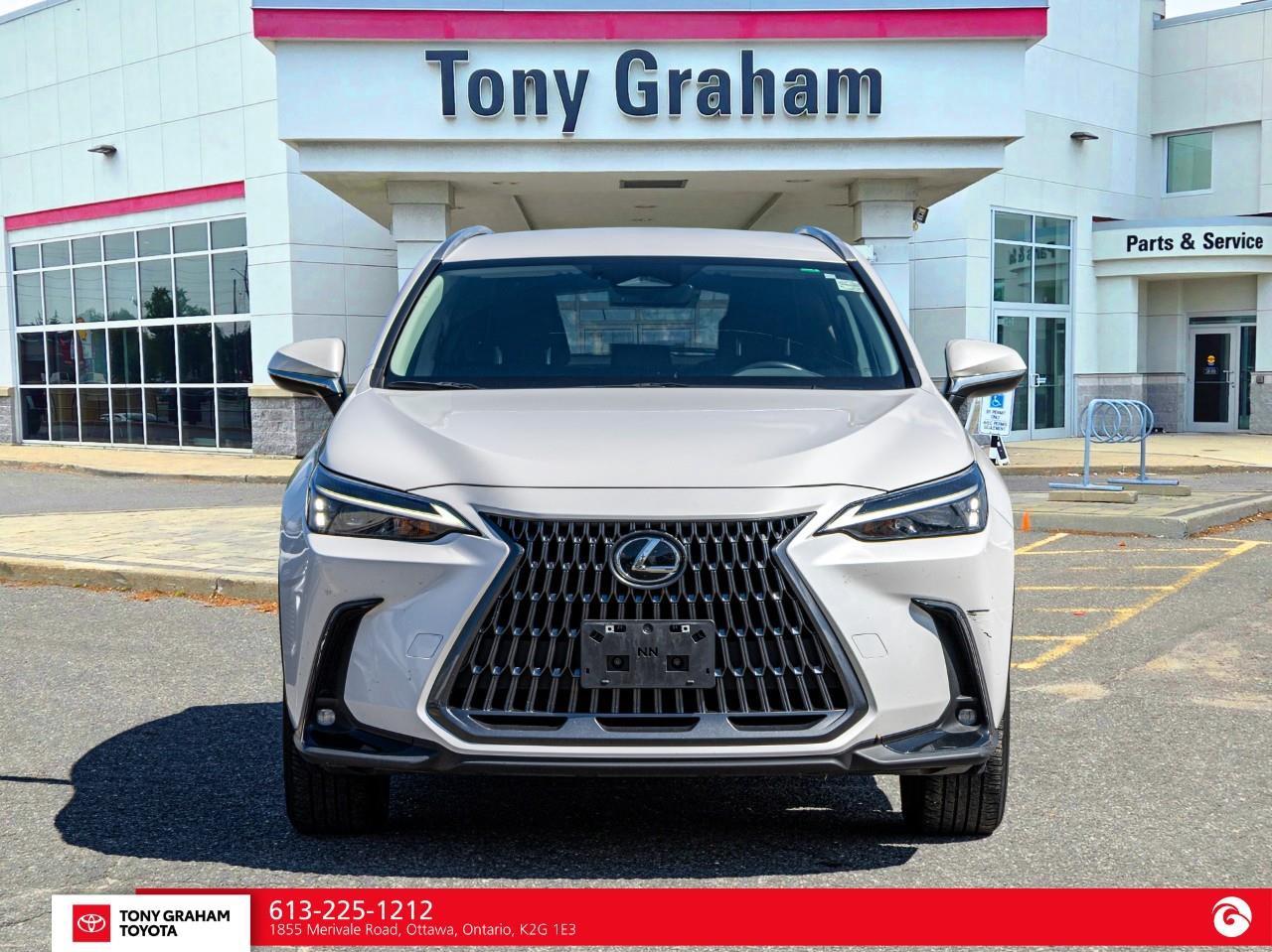 2025 Lexus NX 250  Photo1