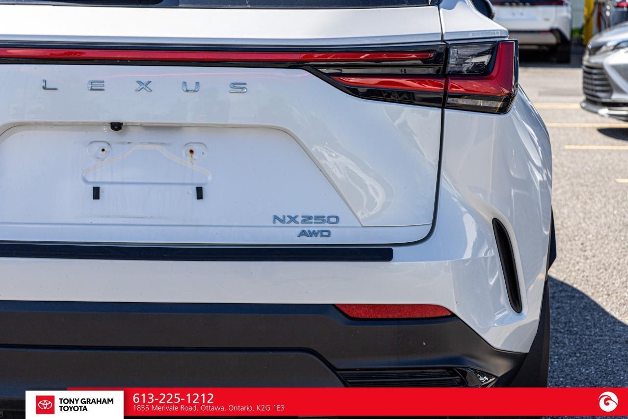 2025 Lexus NX 250  Photo