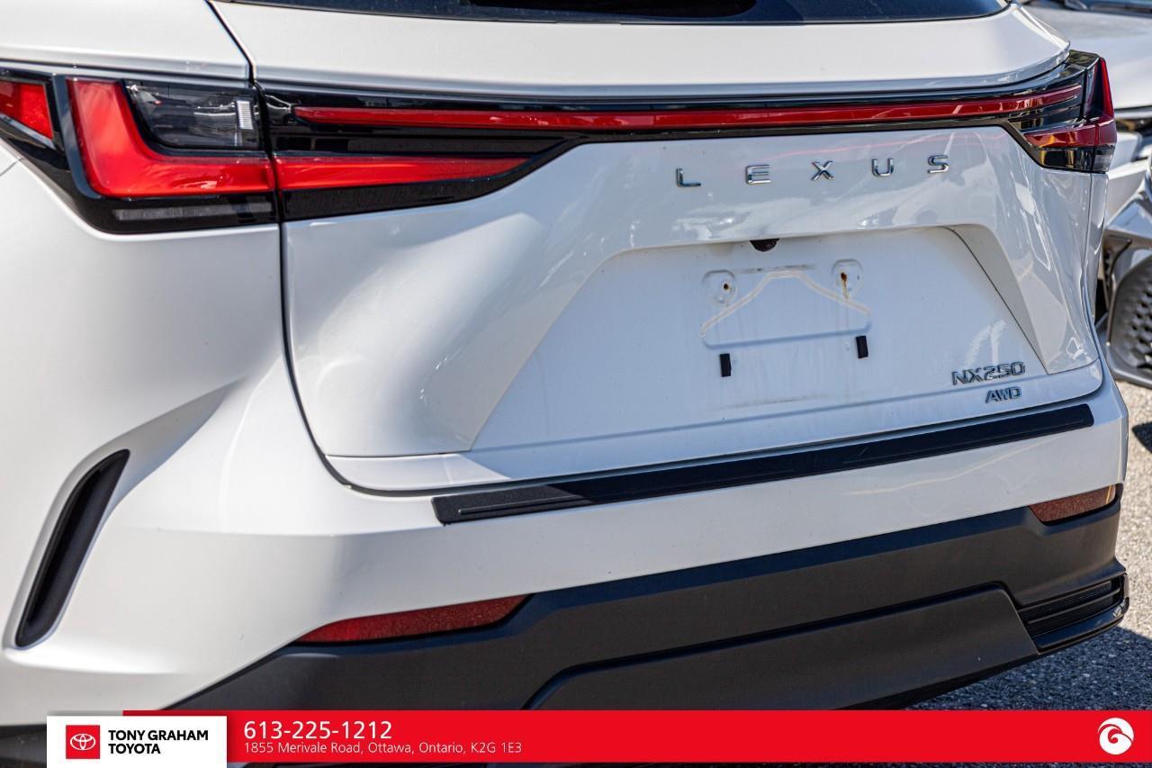 2025 Lexus NX 250  Photo