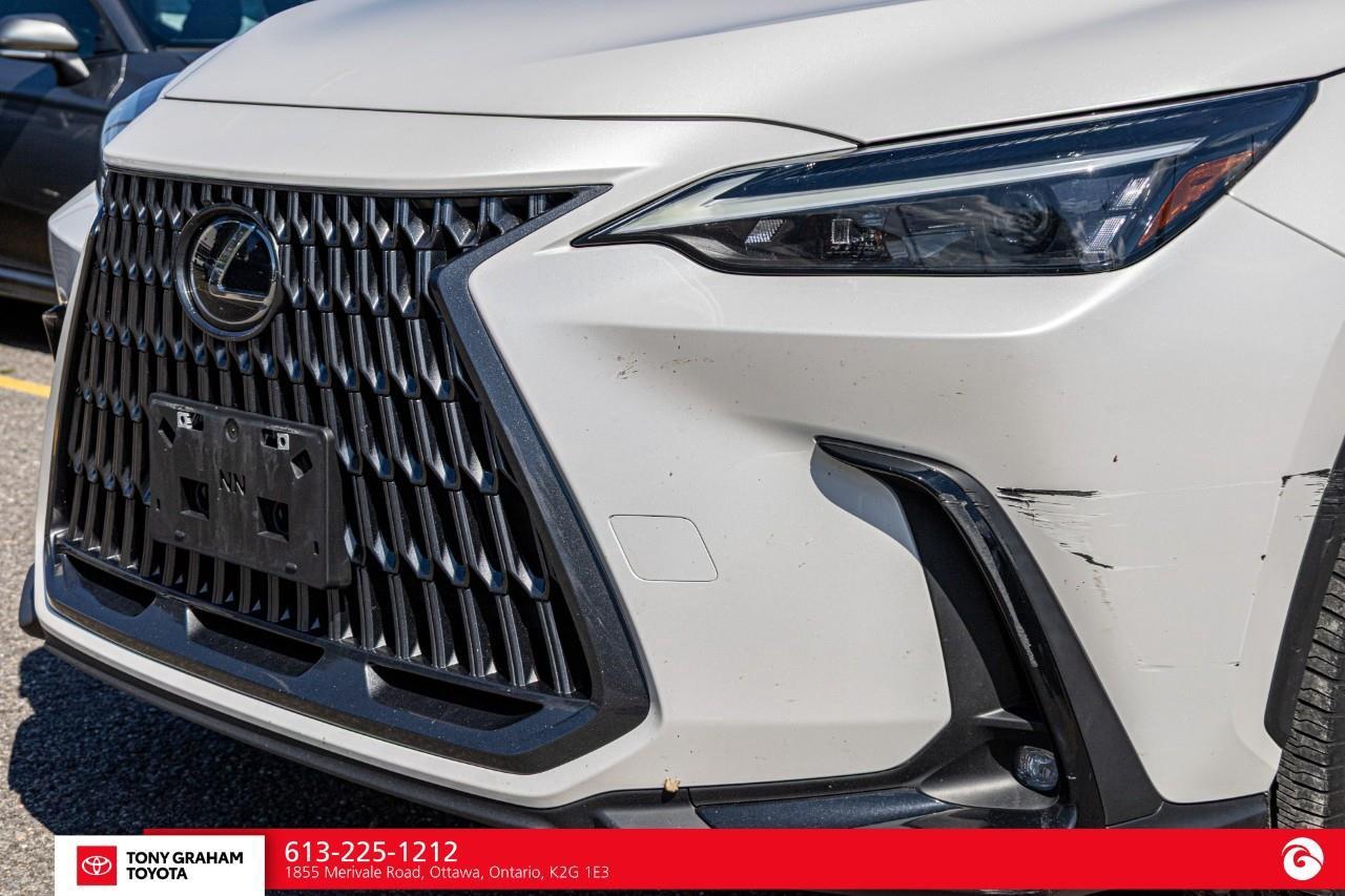 2025 Lexus NX 250  Photo