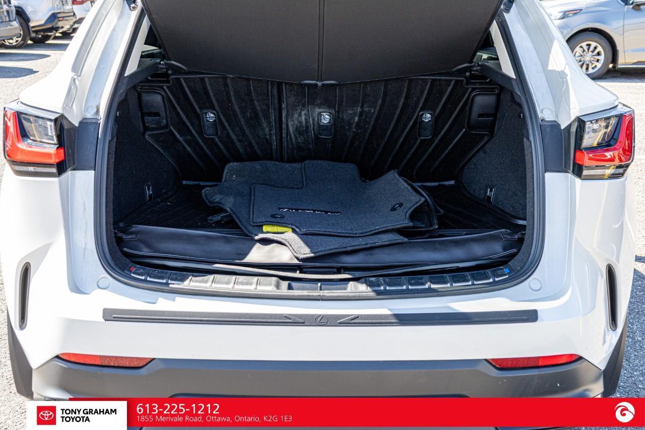 2025 Lexus NX 250  Photo