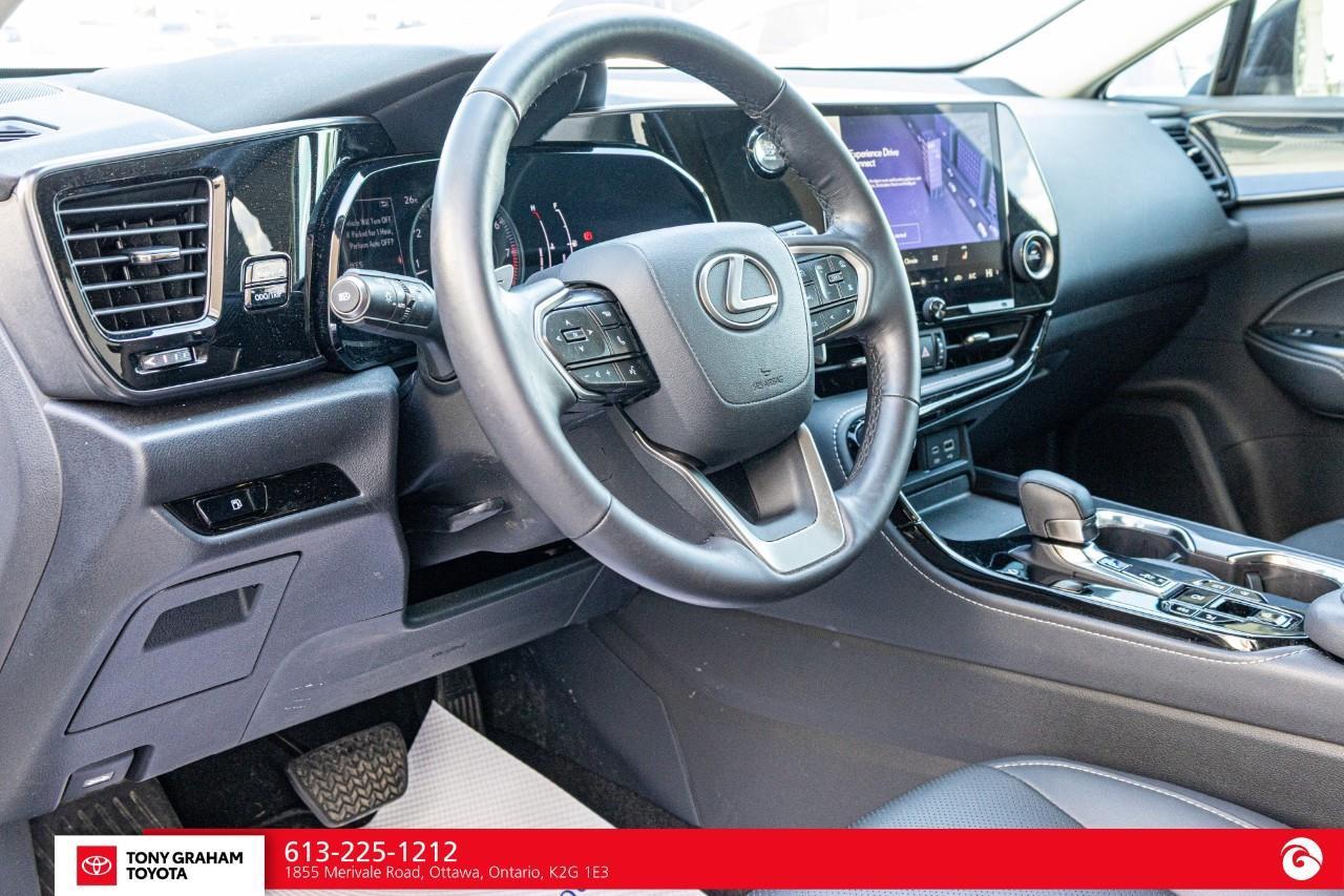2025 Lexus NX 250  Photo