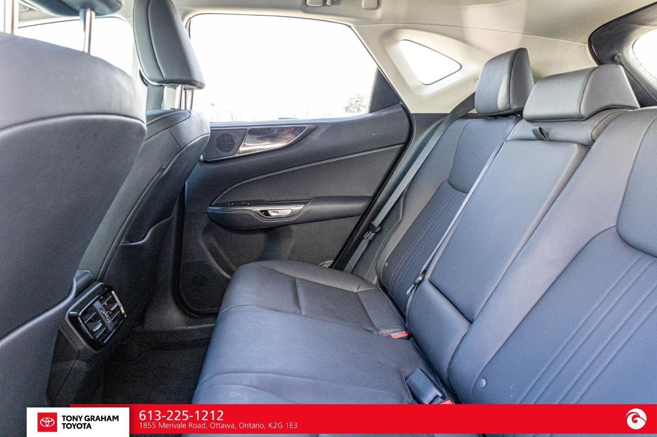 2025 Lexus NX 250  Photo