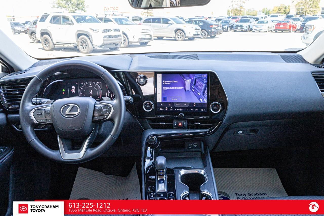 2025 Lexus NX 250  Photo