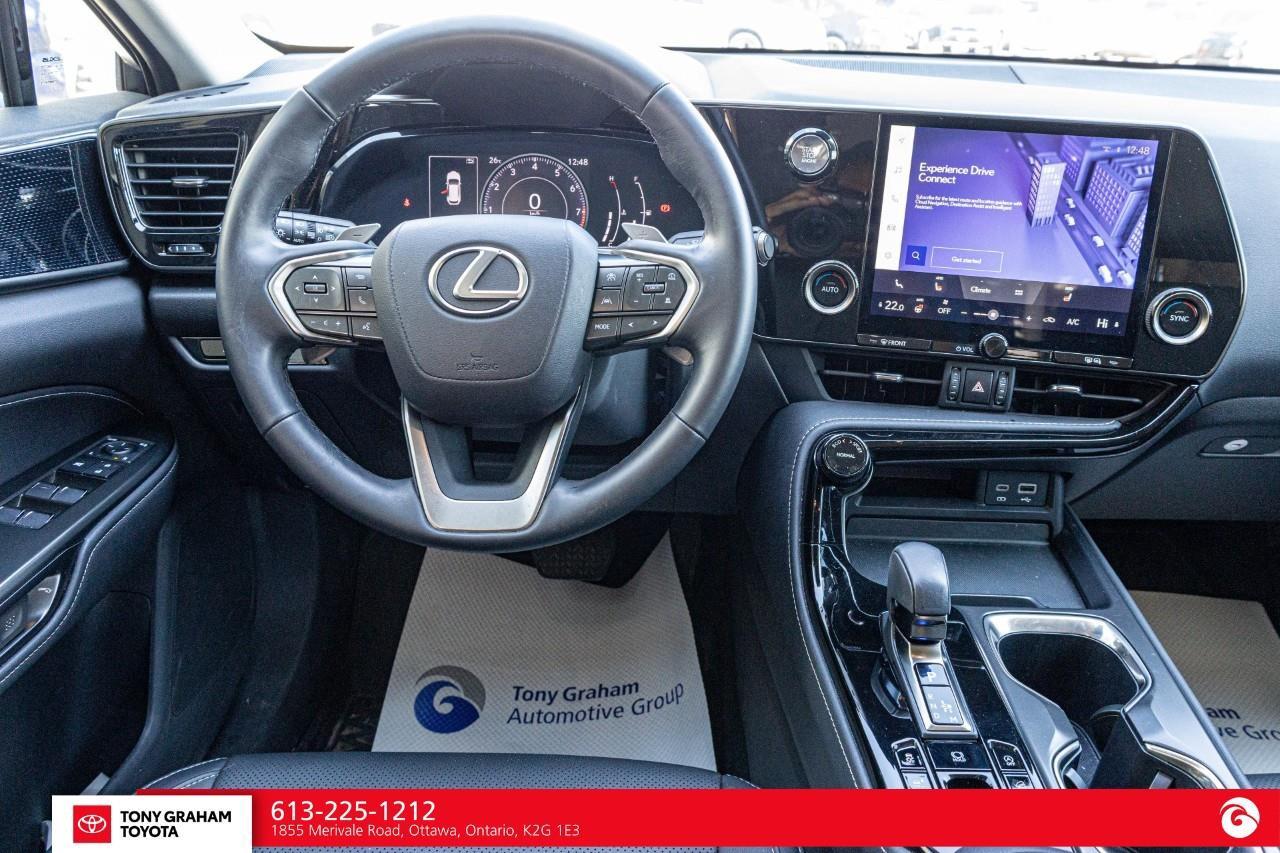 2025 Lexus NX 250  Photo