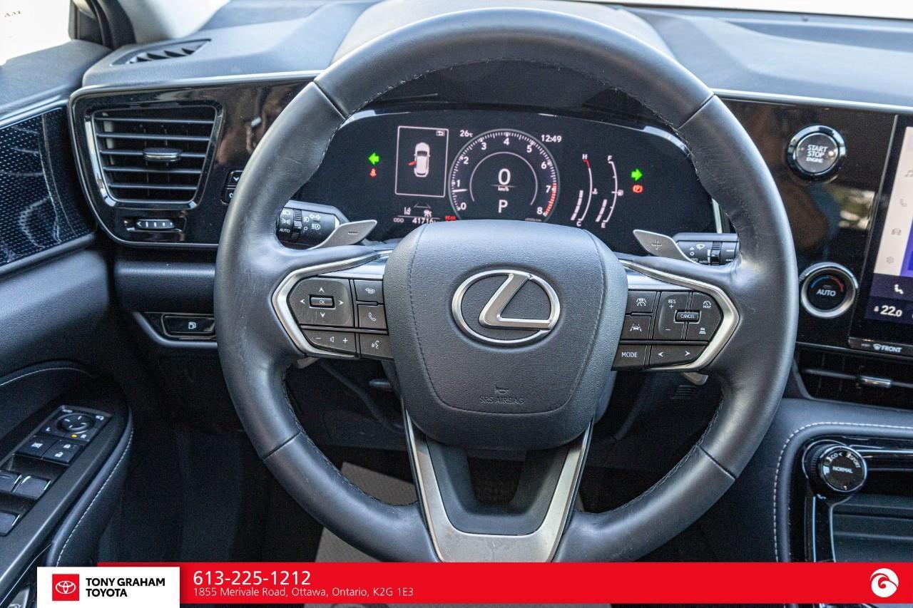 2025 Lexus NX 250  Photo