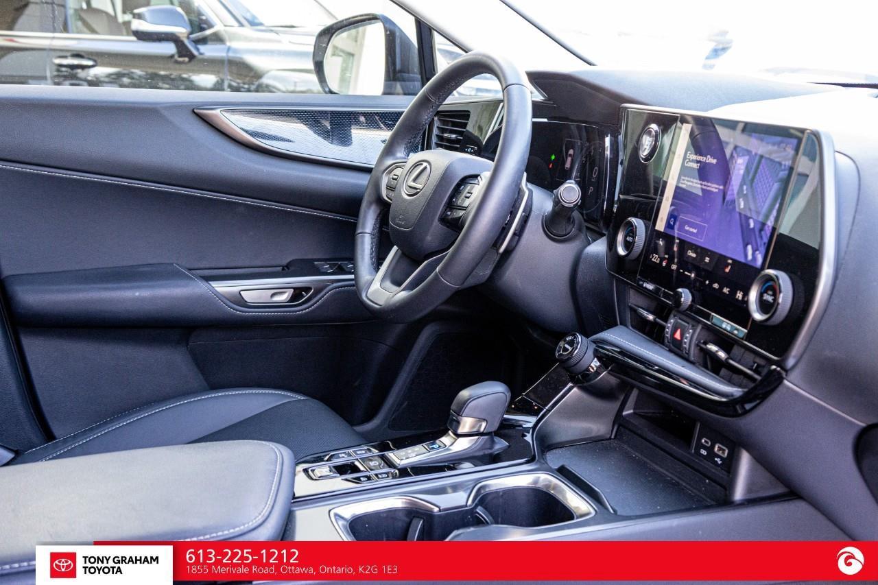 2025 Lexus NX 250  Photo