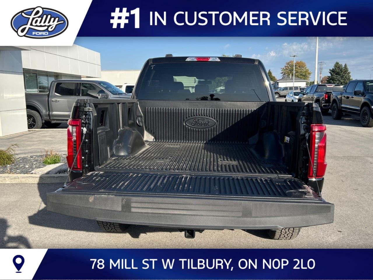 2026 Ford F-150 XLT 4WD SuperCrew 5.5' Box Photo