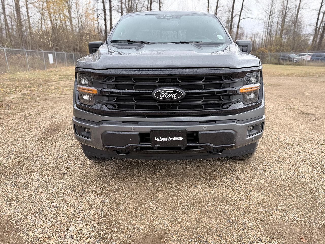 2026 Ford F-150 XLT Photo2