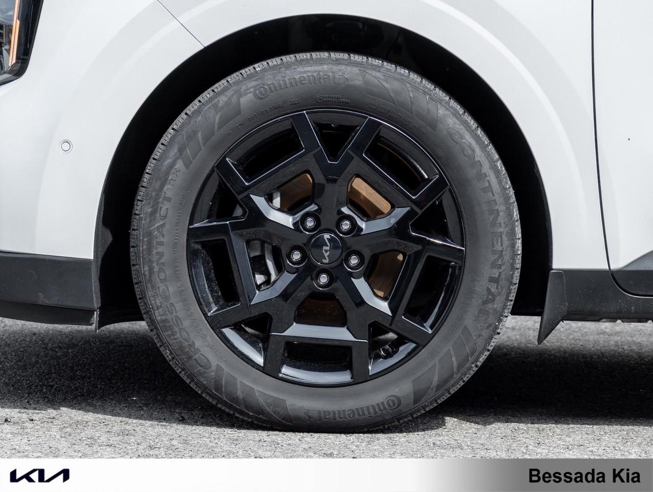 2025 Kia Carnival Hybrid SX+ Photo