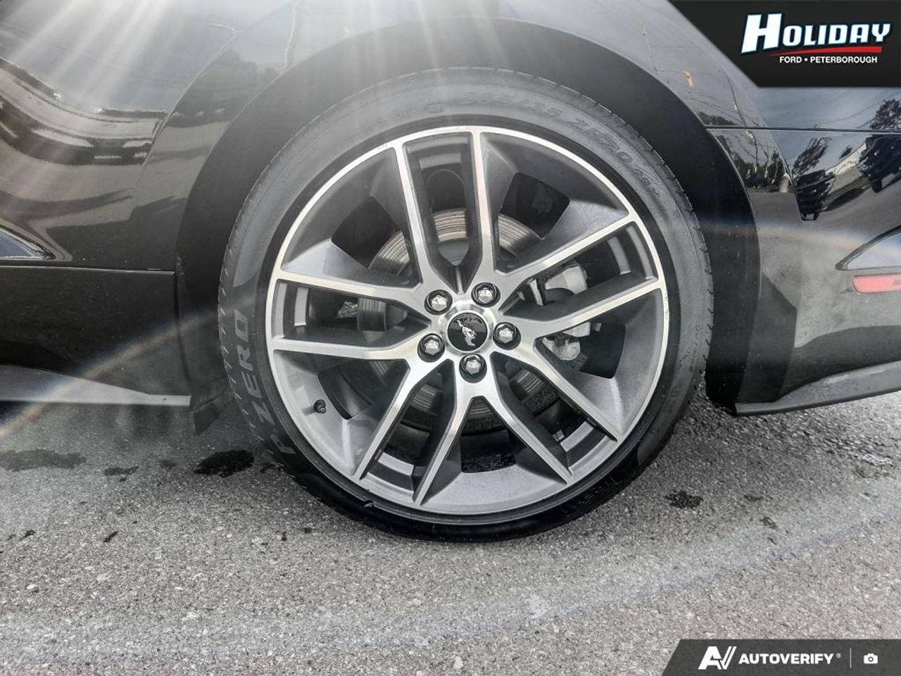 2015 Ford Mustang GT Premium Photo