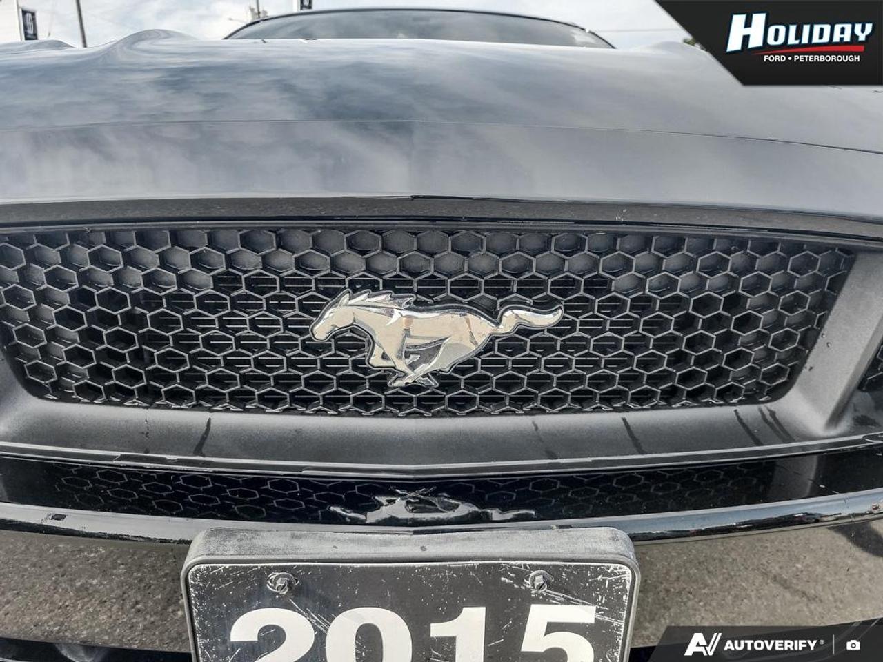 2015 Ford Mustang GT Premium Photo