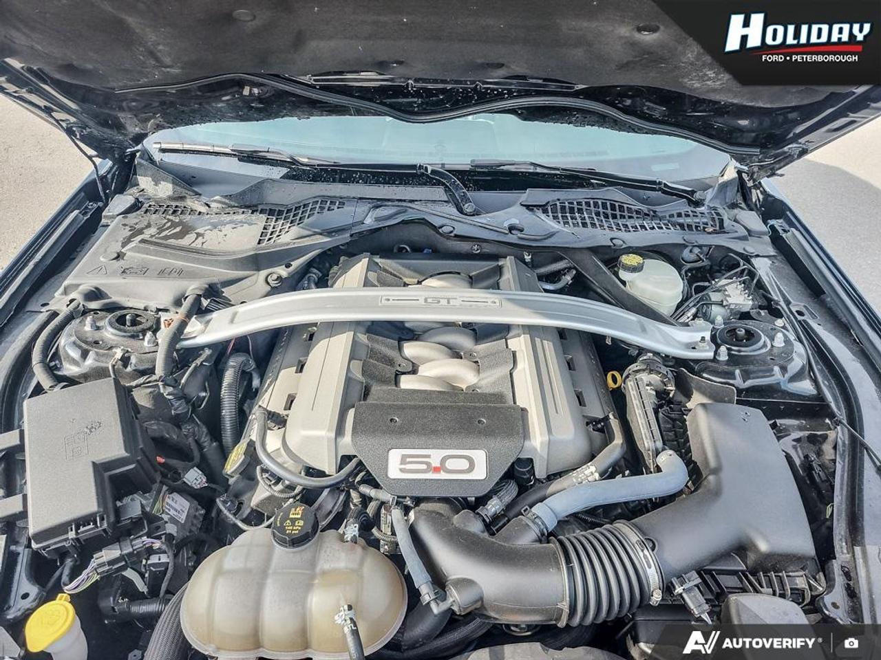2015 Ford Mustang GT Premium Photo