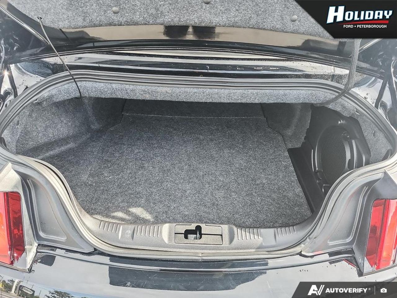 2015 Ford Mustang GT Premium Photo