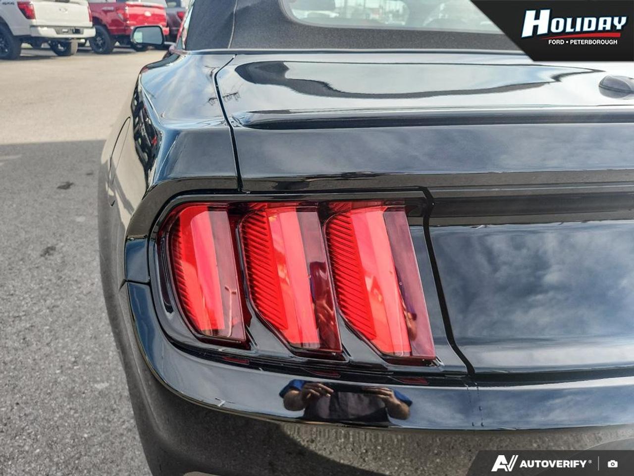 2015 Ford Mustang GT Premium Photo
