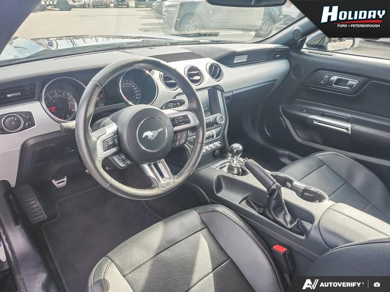 2015 Ford Mustang GT Premium Photo