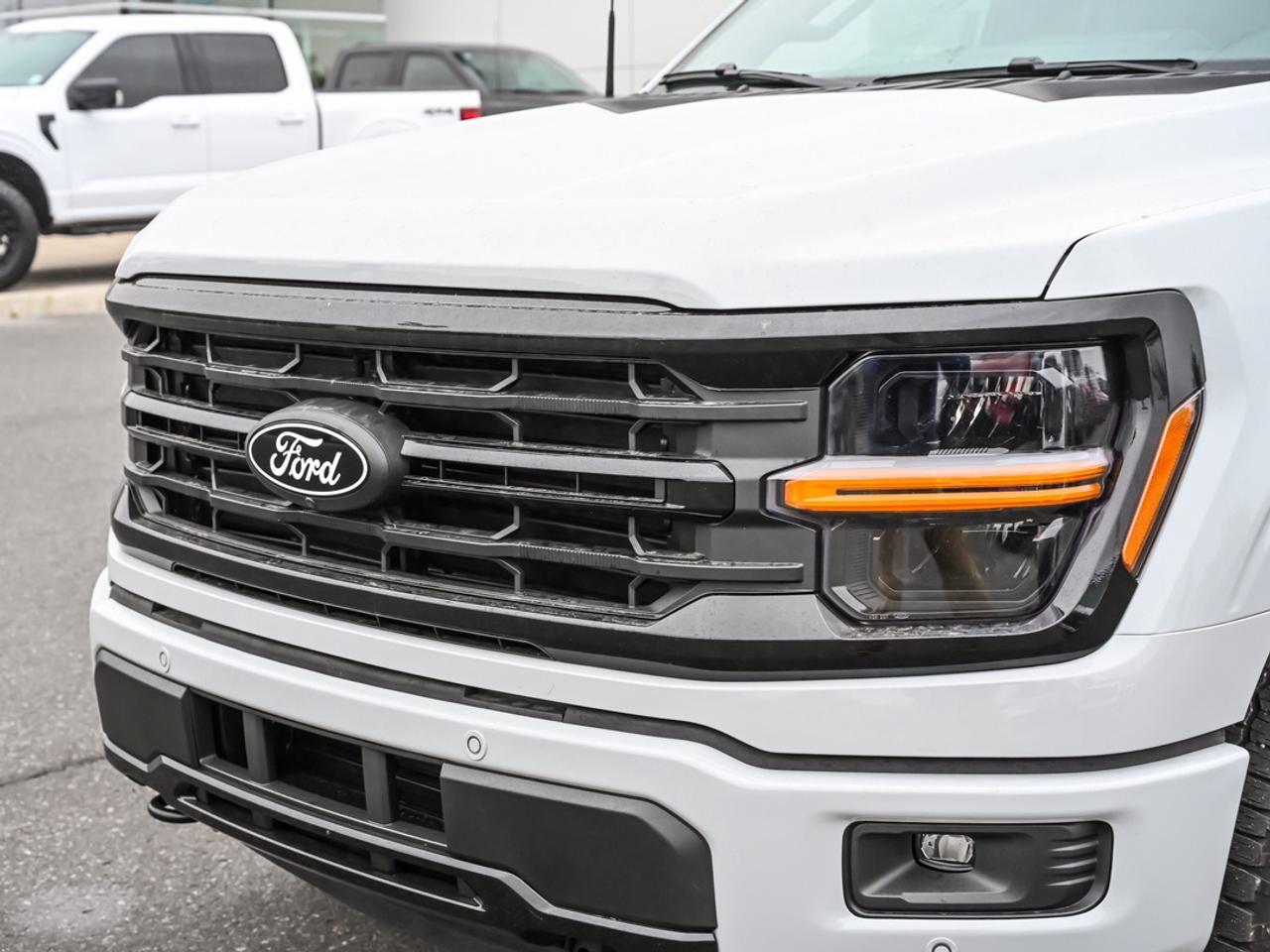2026 Ford F-150 XLT Photo