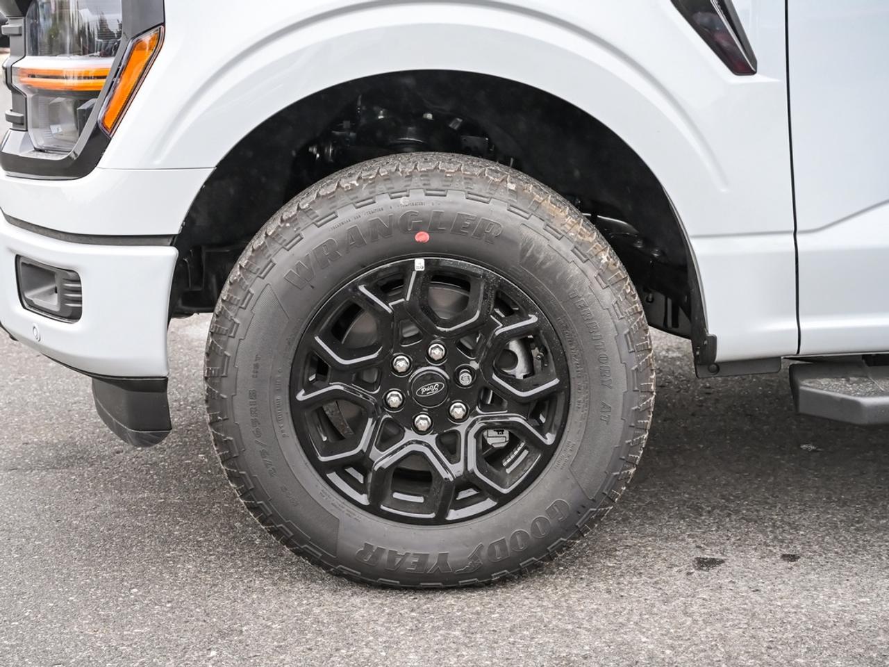 2026 Ford F-150 XLT Photo