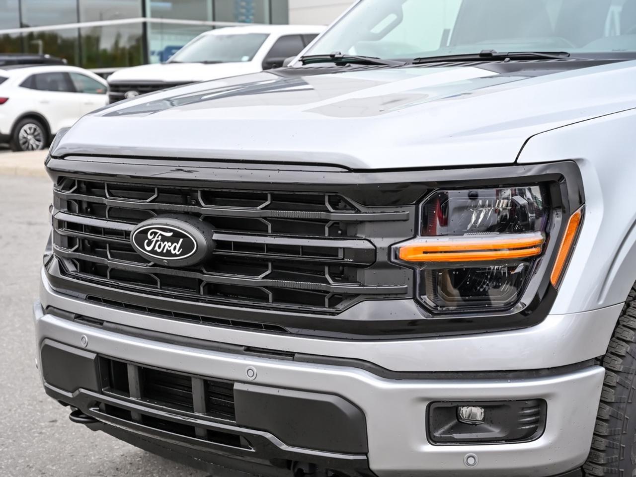 2026 Ford F-150 XLT Photo