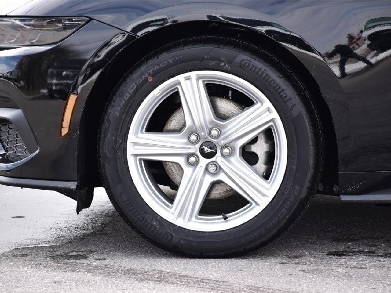 2026 Ford Mustang EcoBoost Photo