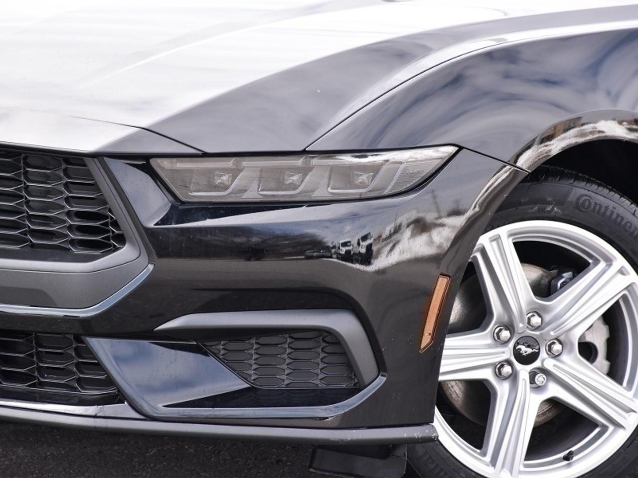 2026 Ford Mustang EcoBoost Photo1