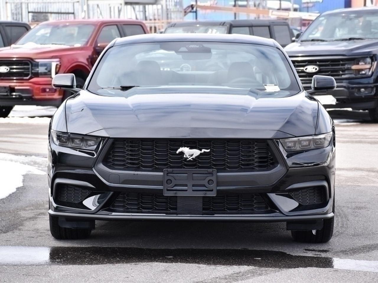2026 Ford Mustang EcoBoost Photo