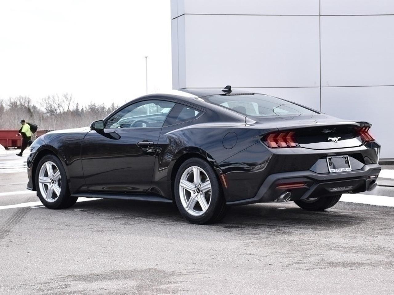 2026 Ford Mustang EcoBoost Photo