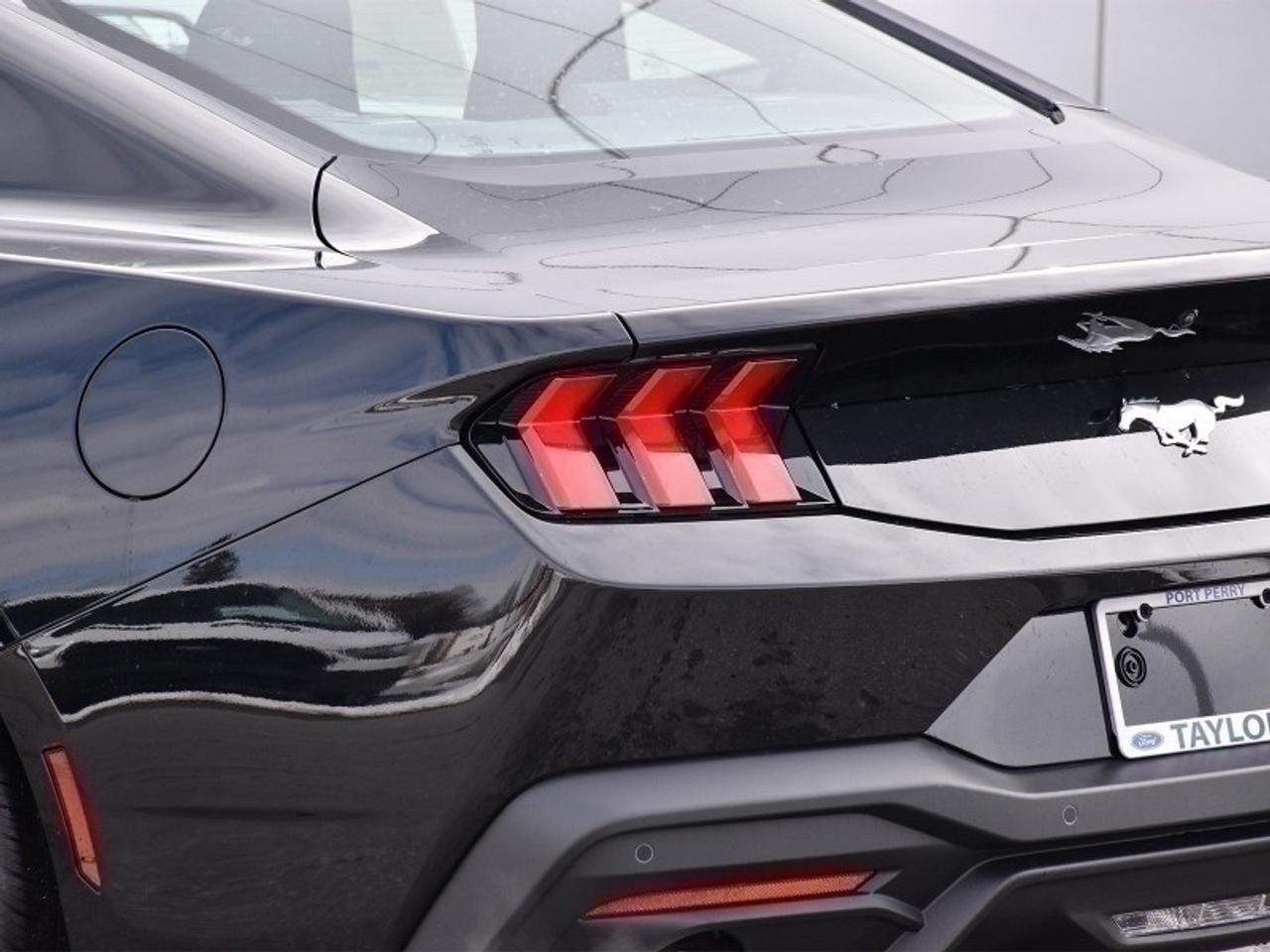 2026 Ford Mustang EcoBoost Photo