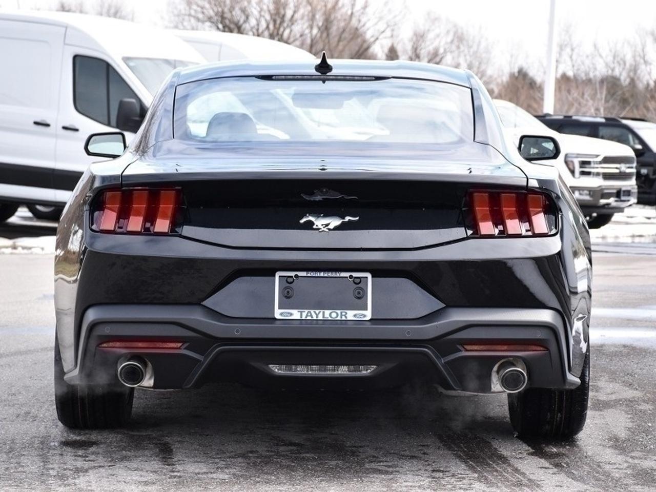2026 Ford Mustang EcoBoost Photo